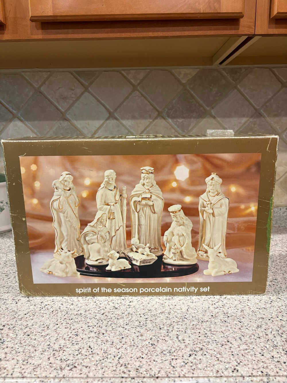 Spirit of the Season Porcelain Nativity Set from the JCPenney Home
